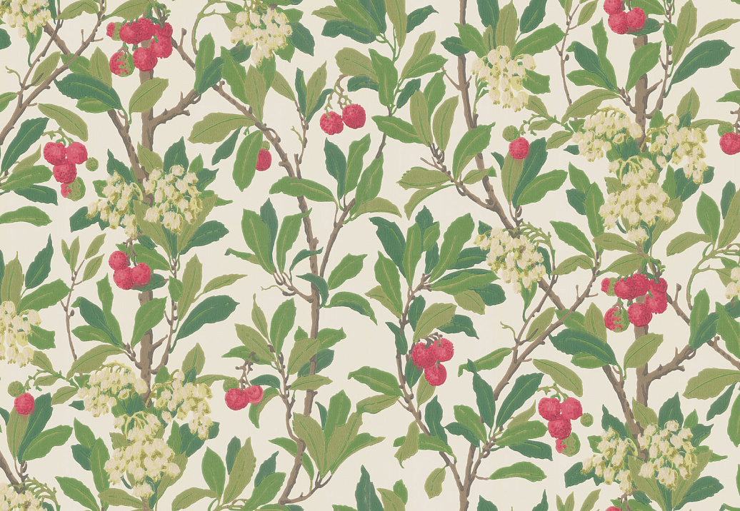 Обои Cole & Son Archive Anthology 100/10049