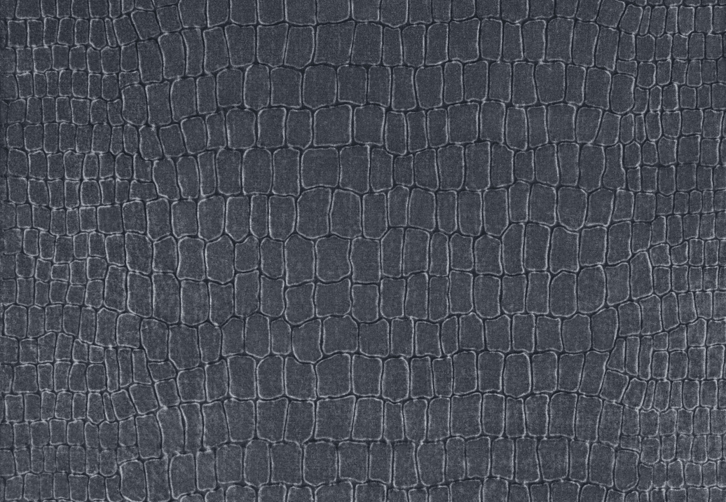 Ткань Zinc Lobby velvets Z515/05