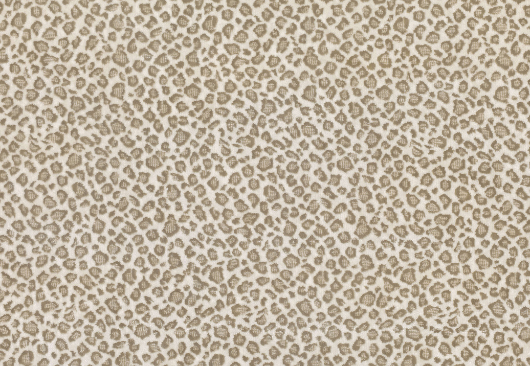 Ткань Zinc Lobby velvets Z514/01