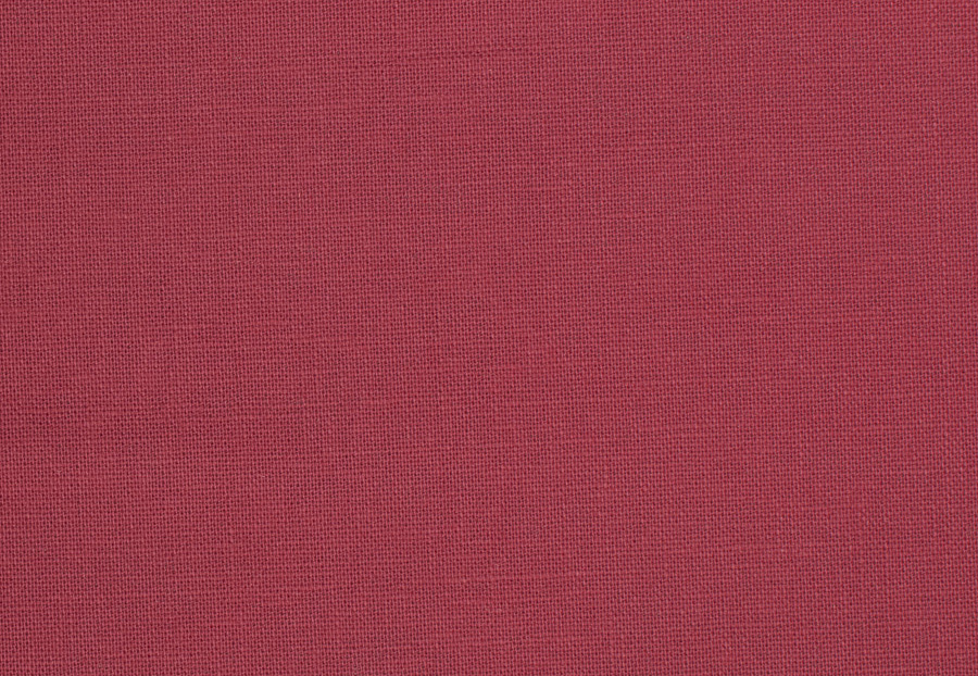 Ткань Trend Blush Punch Prints & Wovens Vol.III 01838/Redbud