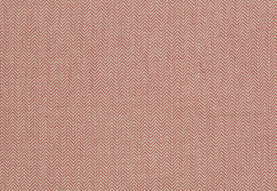 Ткань Trend Blush Punch Prints & Wovens Vol.III 02622/Redbud