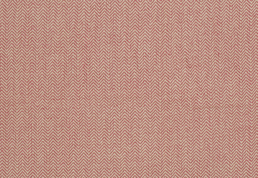 Ткань Trend Blush Punch Prints & Wovens Vol.III 02622/Redbud