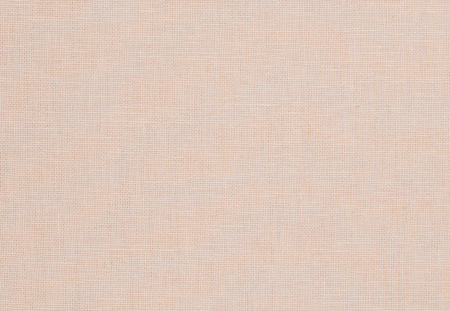 Ткань Trend Blush Punch Prints & Wovens Vol.III 01838/Blush