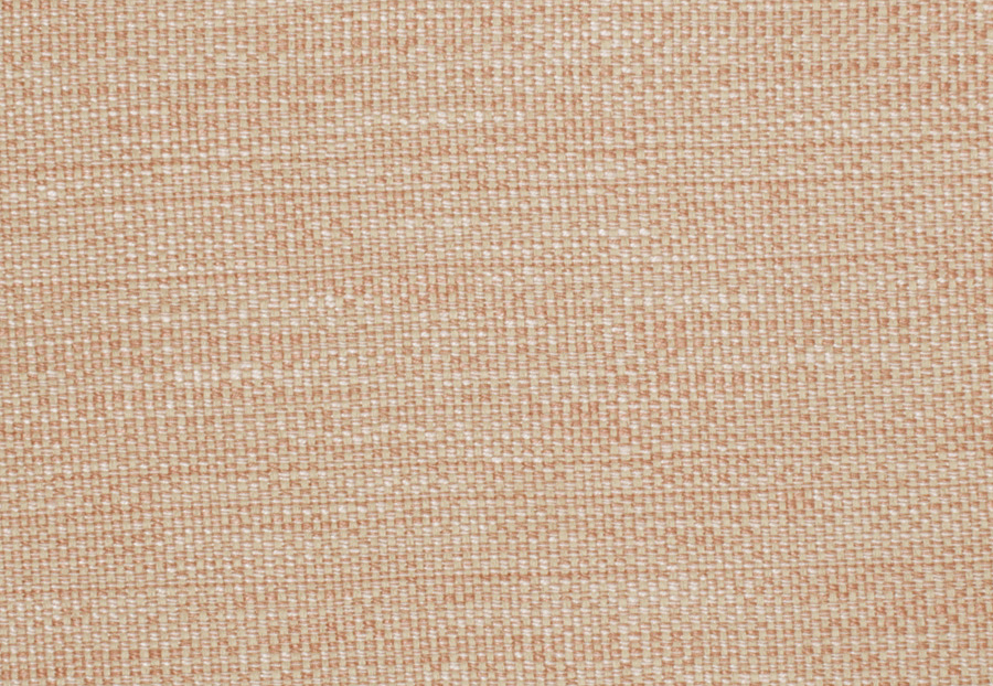 Ткань Trend Blush Punch Prints & Wovens Vol.III 02628/Blush