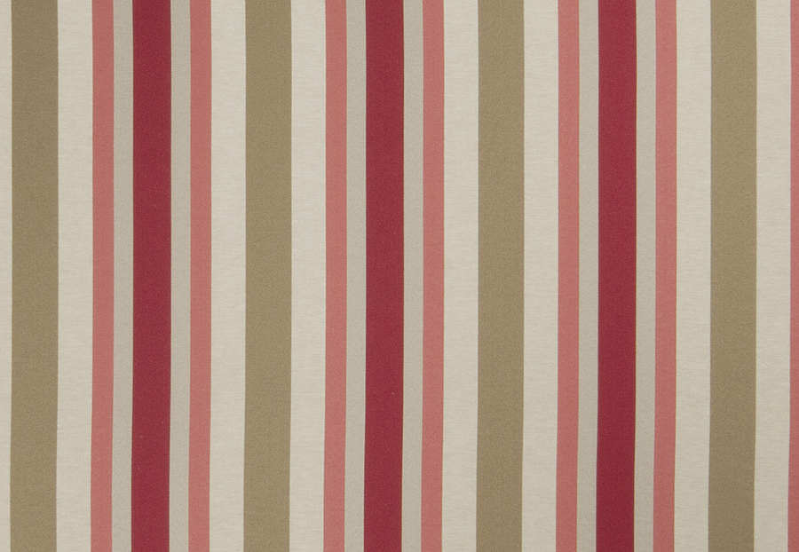 Ткань Trend Blush Punch Prints & Wovens Vol.III 02621/Redbud