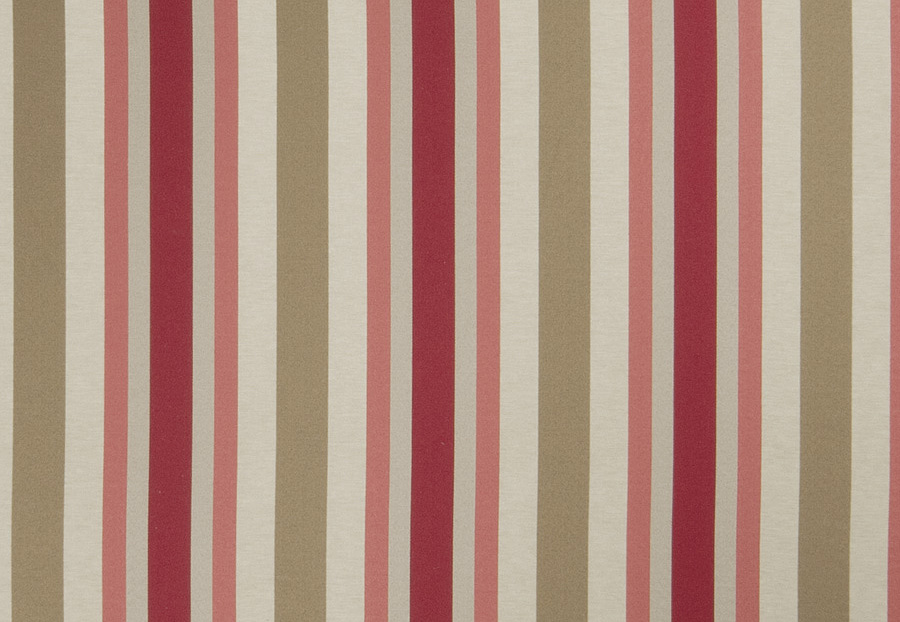 Ткань Trend Blush Punch Prints & Wovens Vol.III 02621/Redbud
