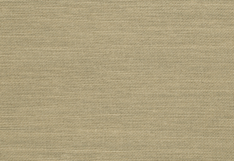 Ткань Trend Blush Punch Prints & Wovens Vol.III 02626/Raffia
