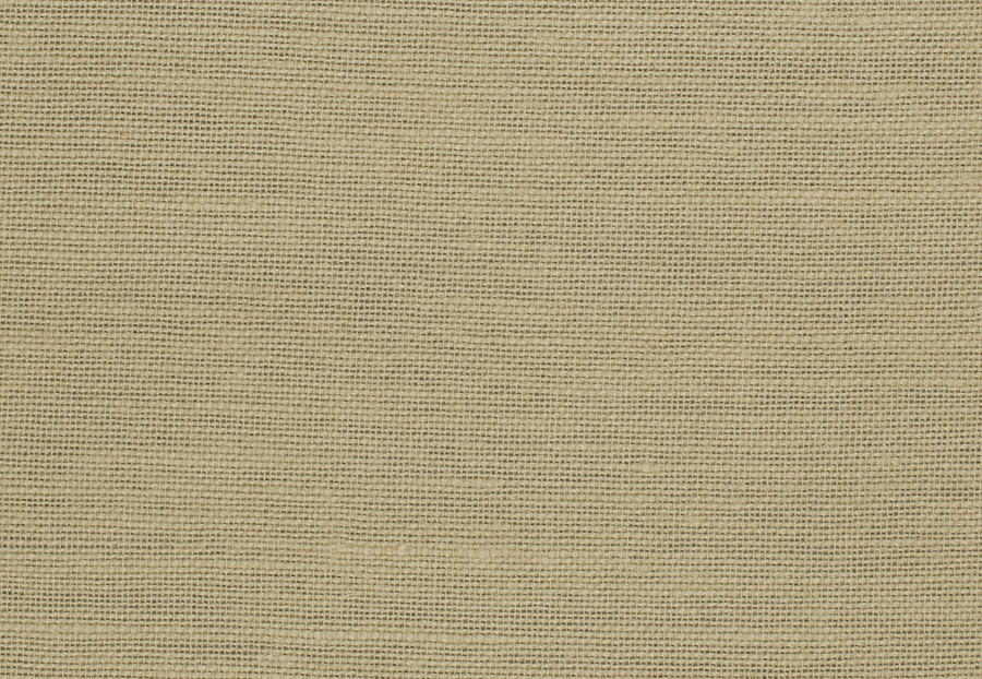 Ткань Trend Blush Punch Prints & Wovens Vol.III 02626/Raffia
