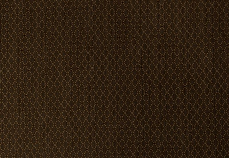 Ткань Trend Chocolate Onyx Prints & Wovens Vol.II 02408/Chocolate