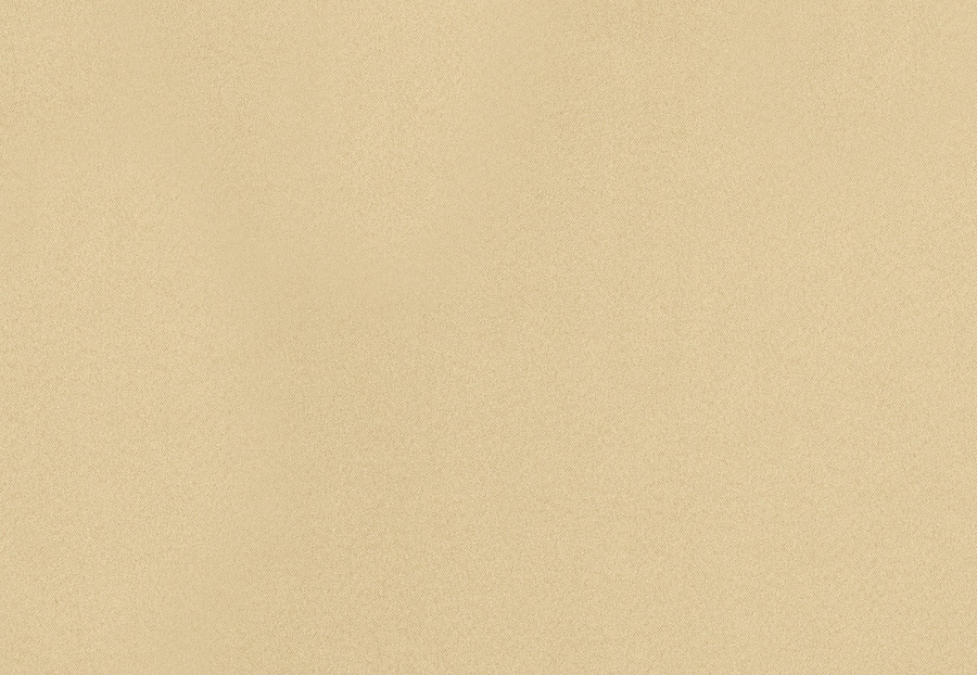 Ткань Trend Drapery dim out library 02891/Natural