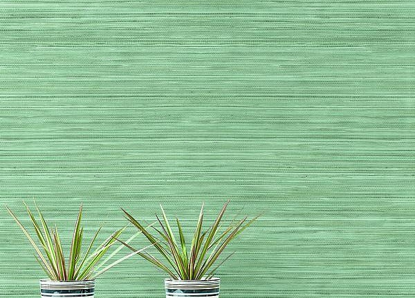 Обои Wallquest Grass Resource RC10338