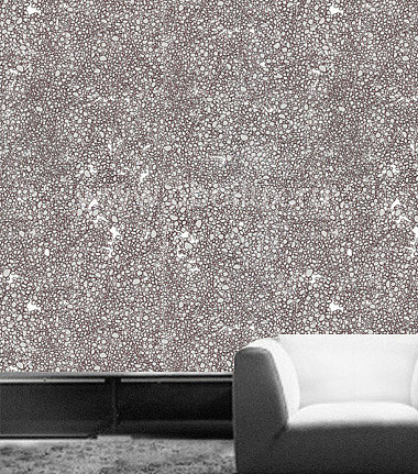 Обои Tres Tintas BCN Wall a porter 2008-07