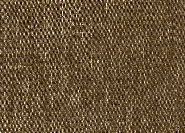 Ткань Designers Guild Tsuga F1420/13