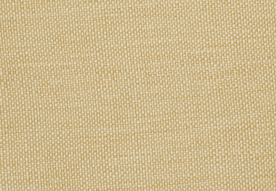 Ткань Trend Lemon Zest Cashew Prints & Wovens Vol.III 02628/Cashew
