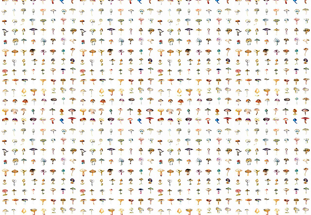 Обои 17 Patterns Collection vol.1 A03-FG-SM01W