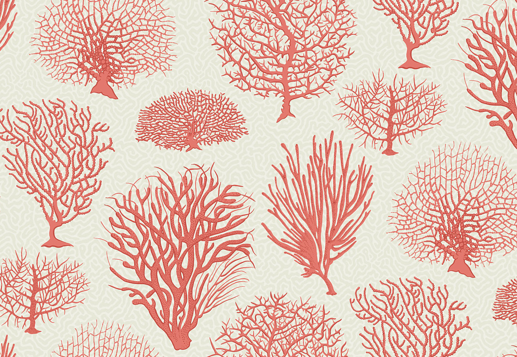 Обои Cole & Son Curio 107/2011