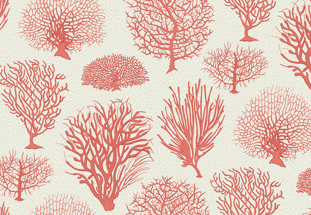 Обои Cole & Son Curio 107/2011