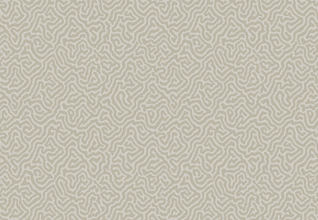 Обои Cole & Son Curio 107/4019