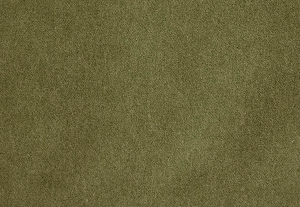 Ткань KAI Savona Savona/Olive