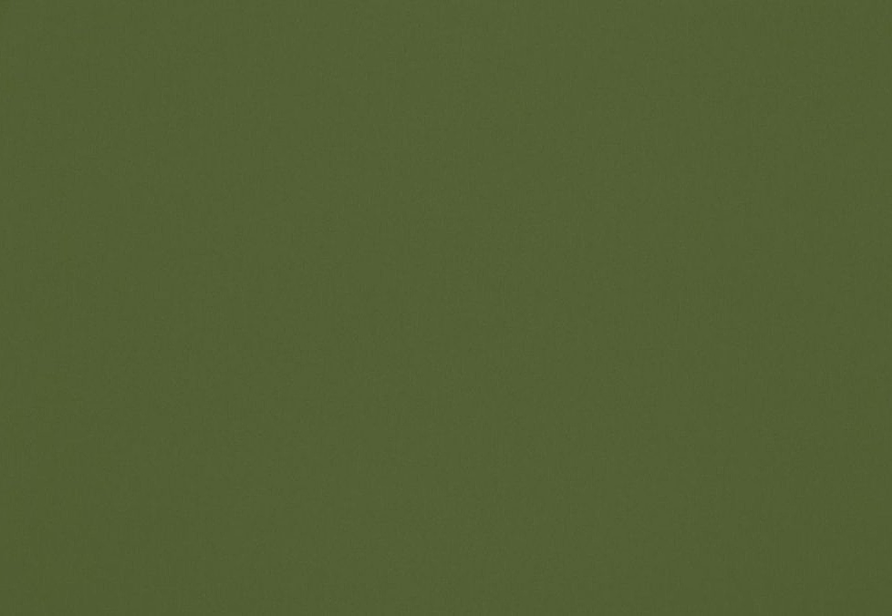 Ткань Ashley Wilde Omari Omari/Grass