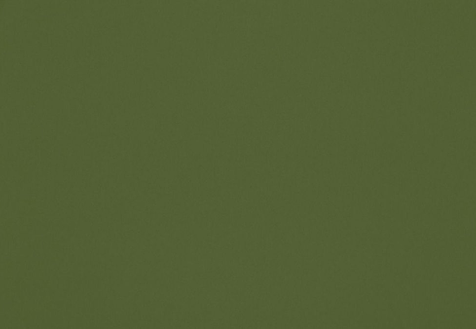 Ткань Ashley Wilde Omari Omari/Grass