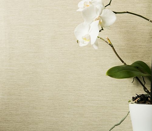 Обои Hohenberger Epic 63541