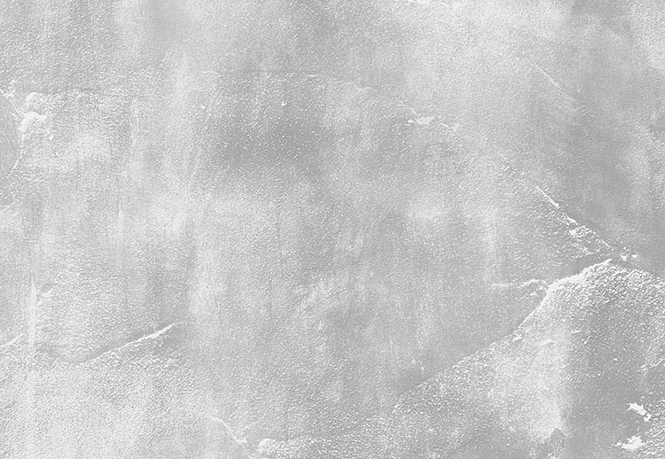 Панно и фотообои KT-Exclusive Concrete Cire 330723