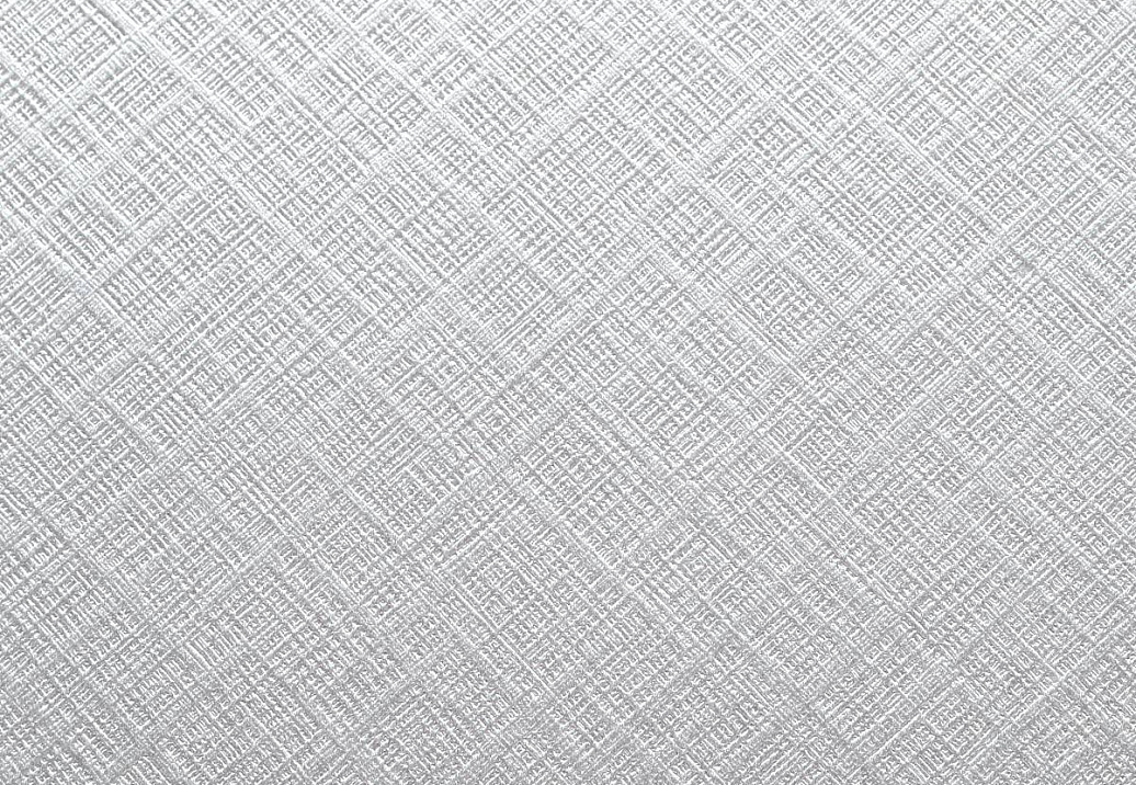 Ткань Daylight Hoku Hoshi/Silver