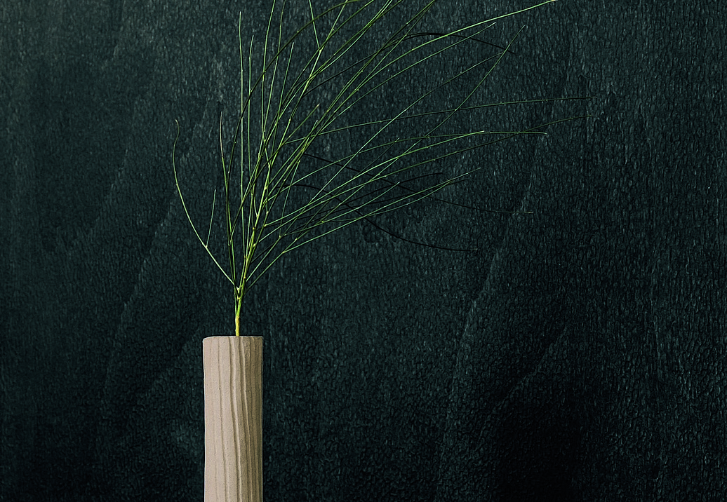 Обои Elitis Bois Sculpte VP93680