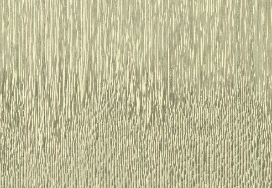 Панно и фотообои Elitis Bois Sculpte VP94001