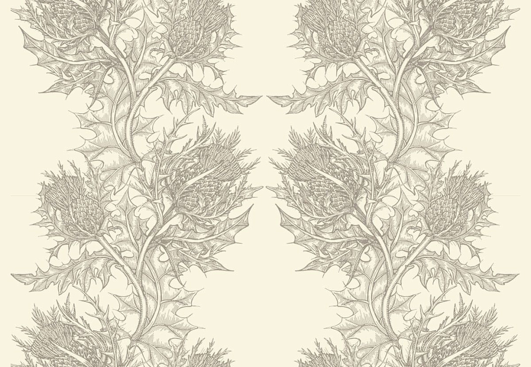 Обои Timorous Beasties Stock SWP/THL/IVY/03