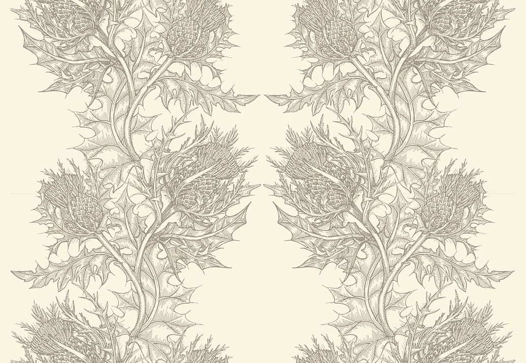Обои Timorous Beasties Stock SWP/THL/IVY/03