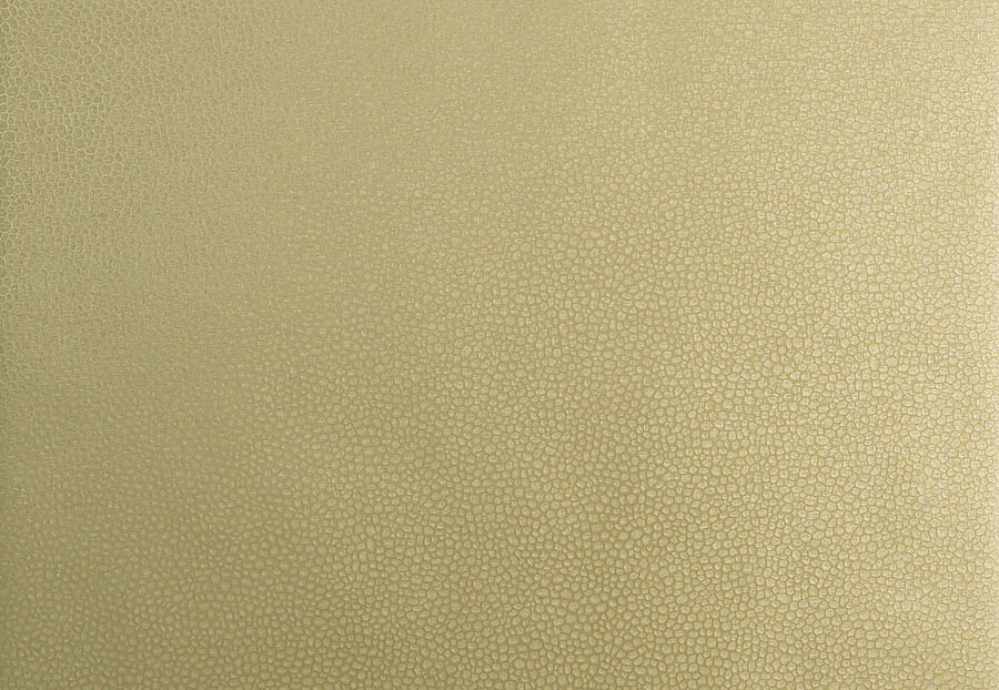 Обои Trend Vern Yip W30016/03