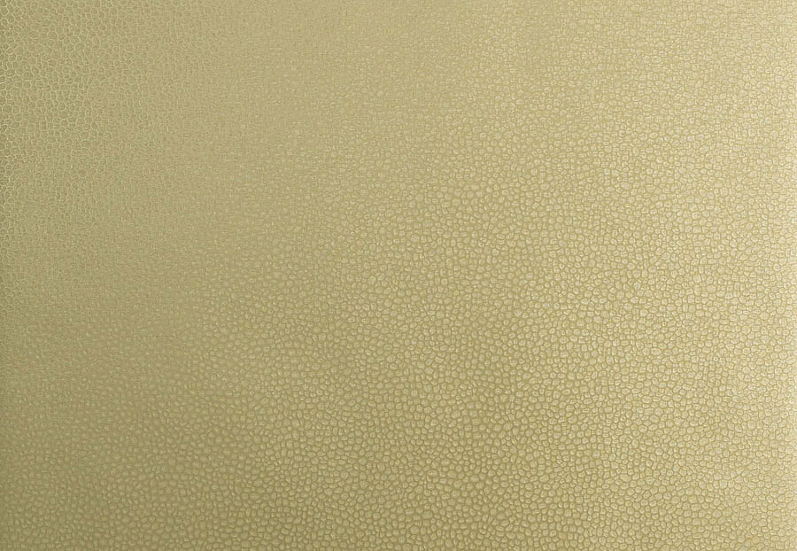 Обои Trend Vern Yip W30016/03