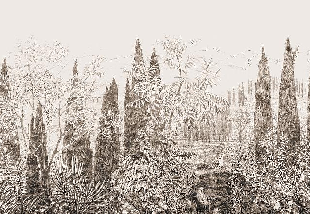 Панно и фотообои Affresco Dream Forest DG68 COL1