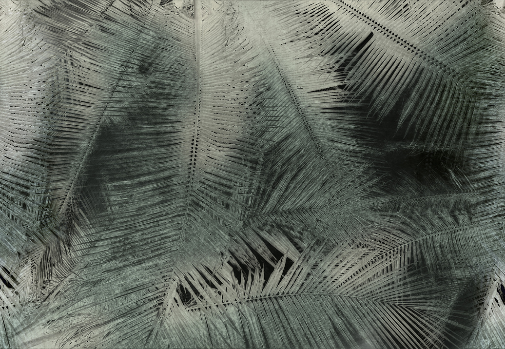 Панно и фотообои Glamora Creative Wallcovering GLNF111A