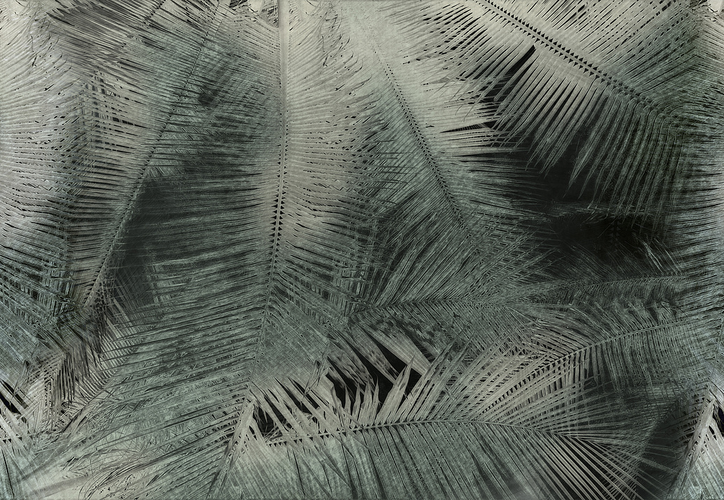 Панно и фотообои Glamora Creative Wallcovering GLNF111A