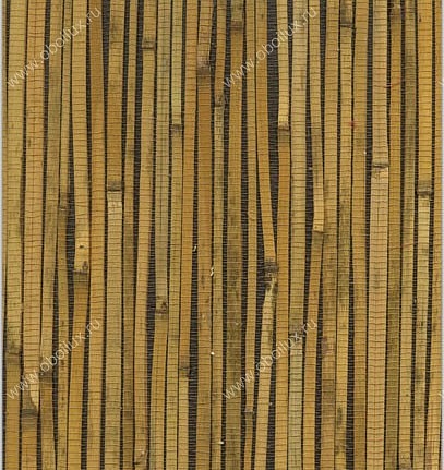 Обои Natural Wallcoverings Natural Wallcoverings DL 015 503