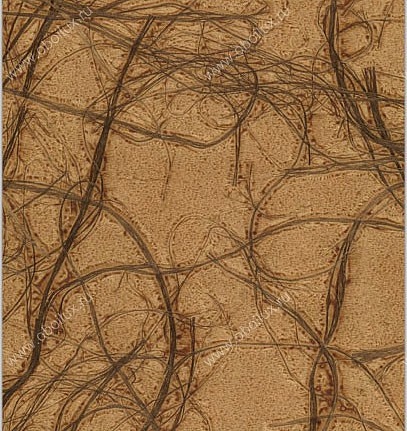 Обои Natural Wallcoverings Natural Wallcoverings DSC 505