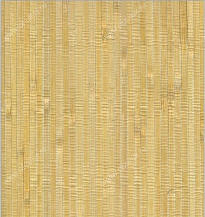 Обои Natural Wallcoverings Natural Wallcoverings DT 15 1001