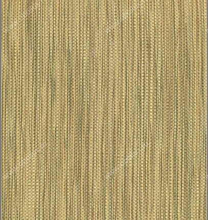 Обои Natural Wallcoverings Natural Wallcoverings DZX 014 602