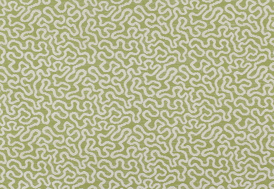 Ткань Thibaut Woven Resource vol.7 Companions W79655