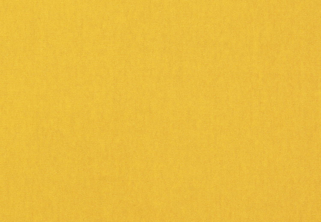 Ткань Manuel Canovas Rivoli II 04982/60