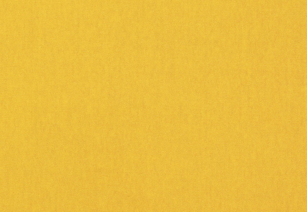 Ткань Manuel Canovas Rivoli II 04982/60