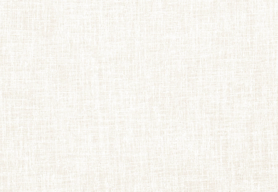 Ткань Fabricut Textured Sheers Vol.II Parchment Hokkaido/Winter White