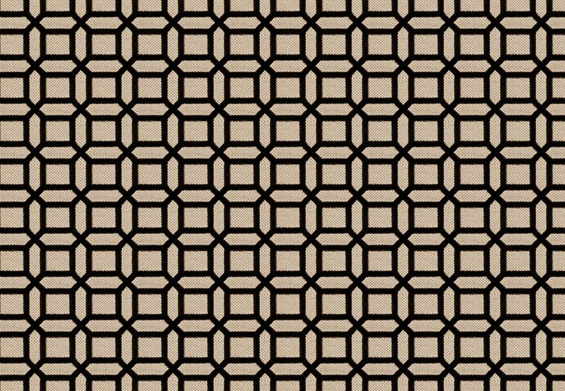 Ткань Fabricut Vignettes Vol.XIII Platinum Kamla/Black