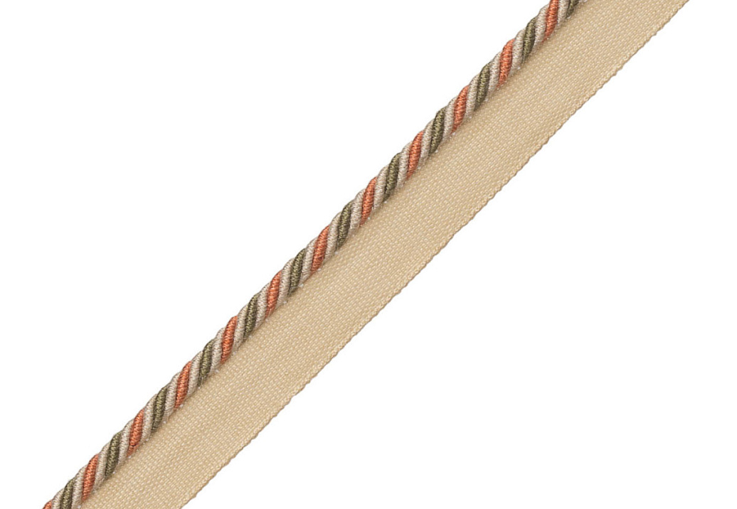 Шнур Samuel & Sons Annecy Cord 981-31058/219