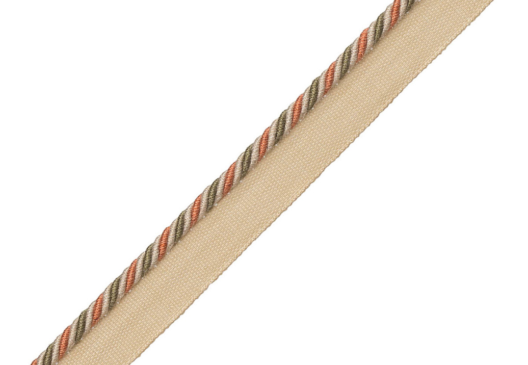 Шнур Samuel & Sons Annecy Cord 981-31058/219