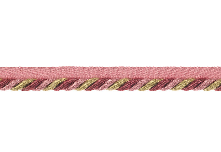 Шнур Fabricut Cord Library Trimmings Arbor/Petunia