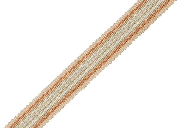 Тесьма Samuel & Sons Tiverton Collection BT-59035/09